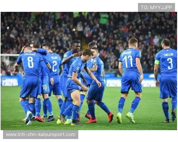 欧洲杯四强出炉 芬兰惊艳登场，欧洲杯24强巡礼芬兰